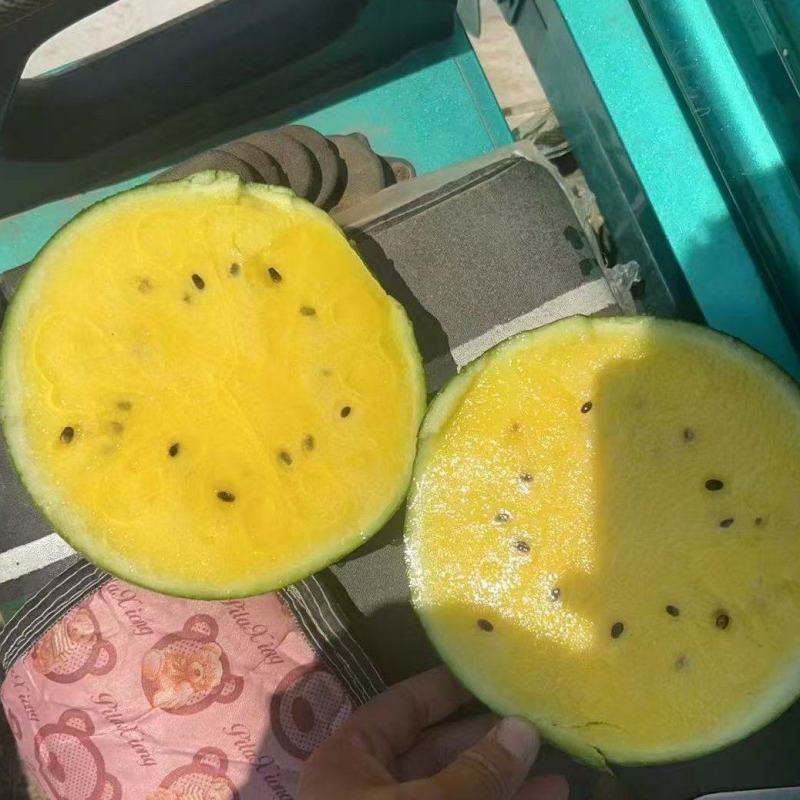 【推荐】特小凤西瓜皮薄多汁实力电商商超直供