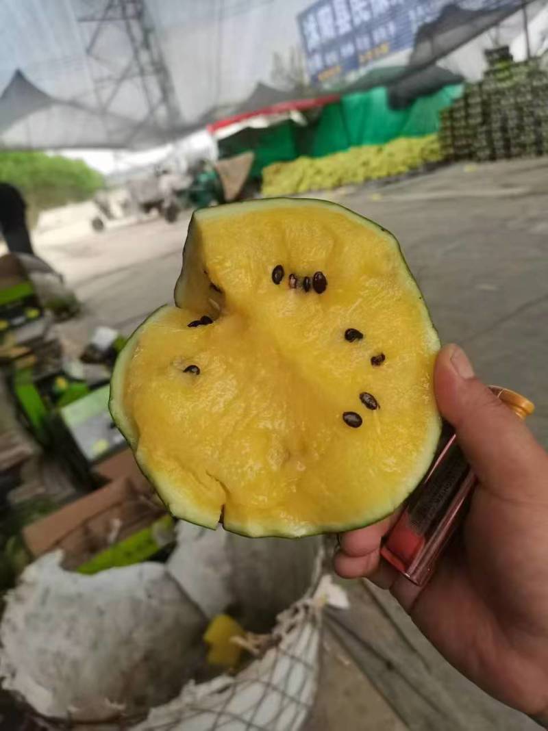 【实力】江苏西瓜特小凤西瓜绿皮黄肉货源充足全国商