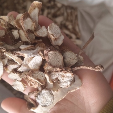 《山药》纯无硫磺水洗山药片
