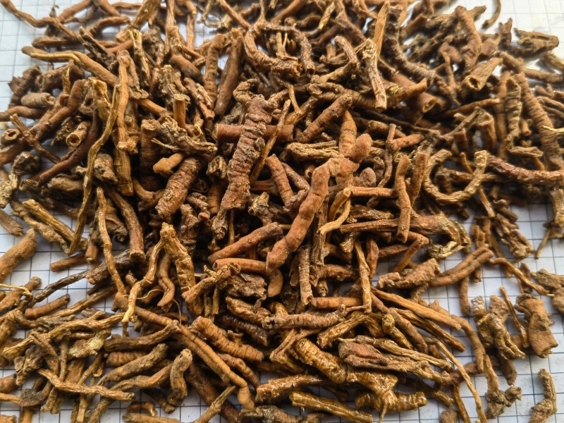 远志，蜜远志，统关书药材桟批发中药材规格齐全质量保证！