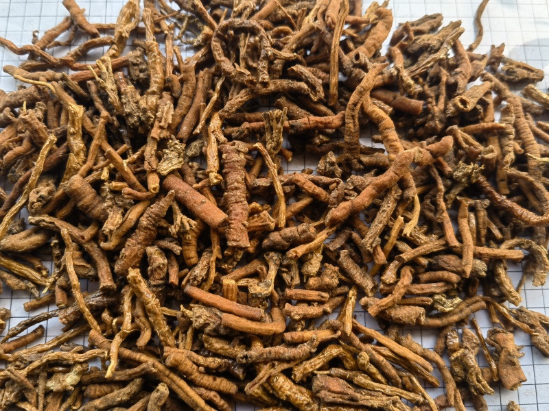 远志，蜜远志，统关书药材桟批发中药材规格齐全质量保证！