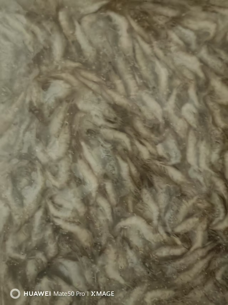 江苏河虾一手货源，货量充足，视频看货对接全国