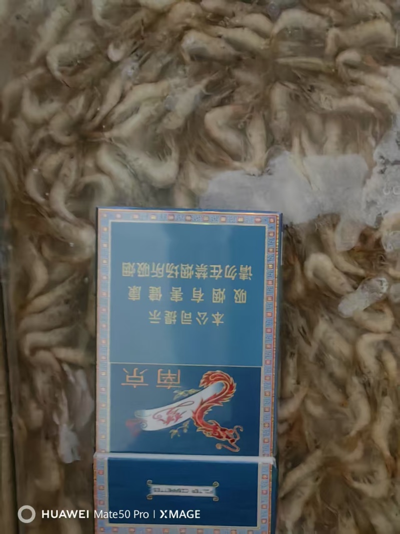 江苏河虾一手货源，货量充足，视频看货对接全国