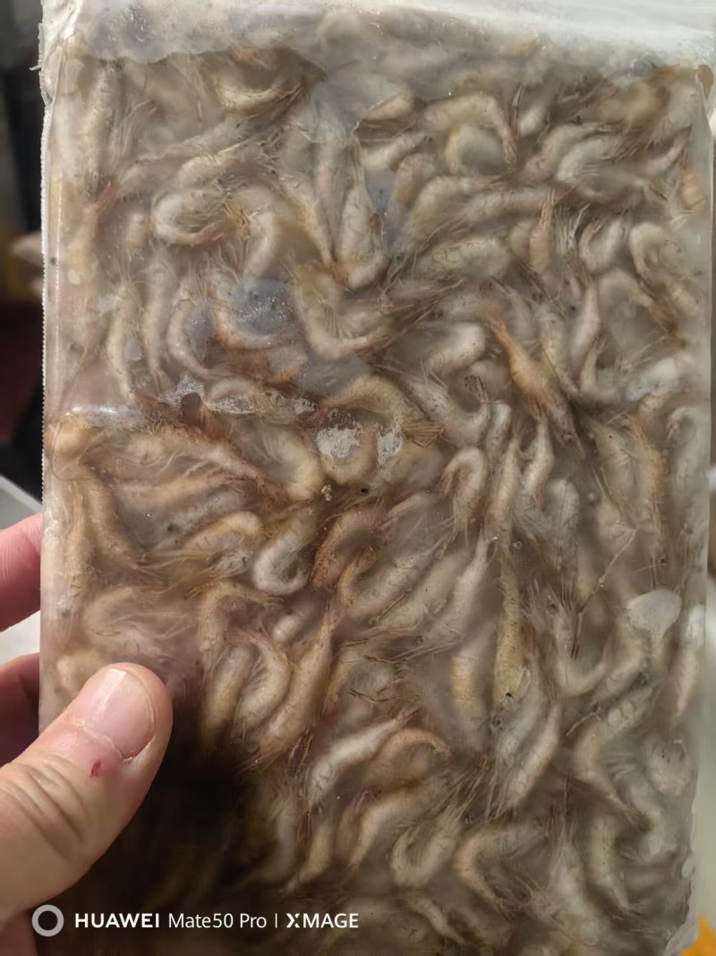 江苏河虾一手货源，货量充足，视频看货对接全国