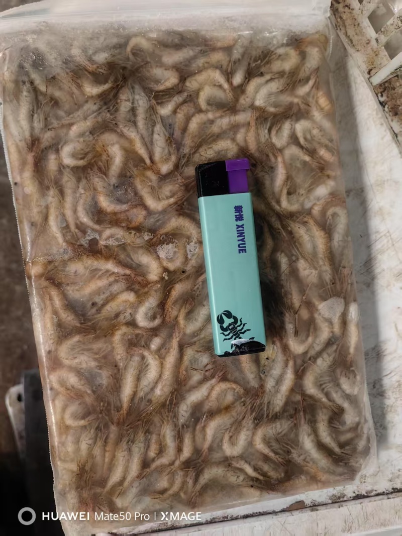 江苏河虾一手货源，货量充足，视频看货对接全国