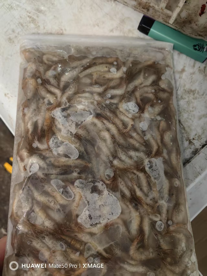 江苏河虾一手货源，货量充足，视频看货对接全国