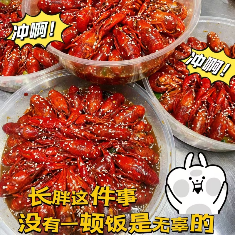 湖北洪湖小龙虾小青50斤包直达运费