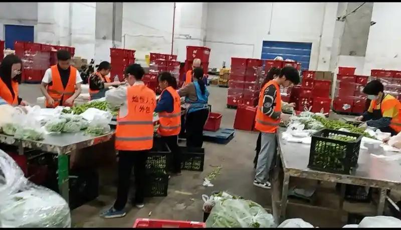 云南紫皮大蒜，电商一件代发，欢迎电商老板合作