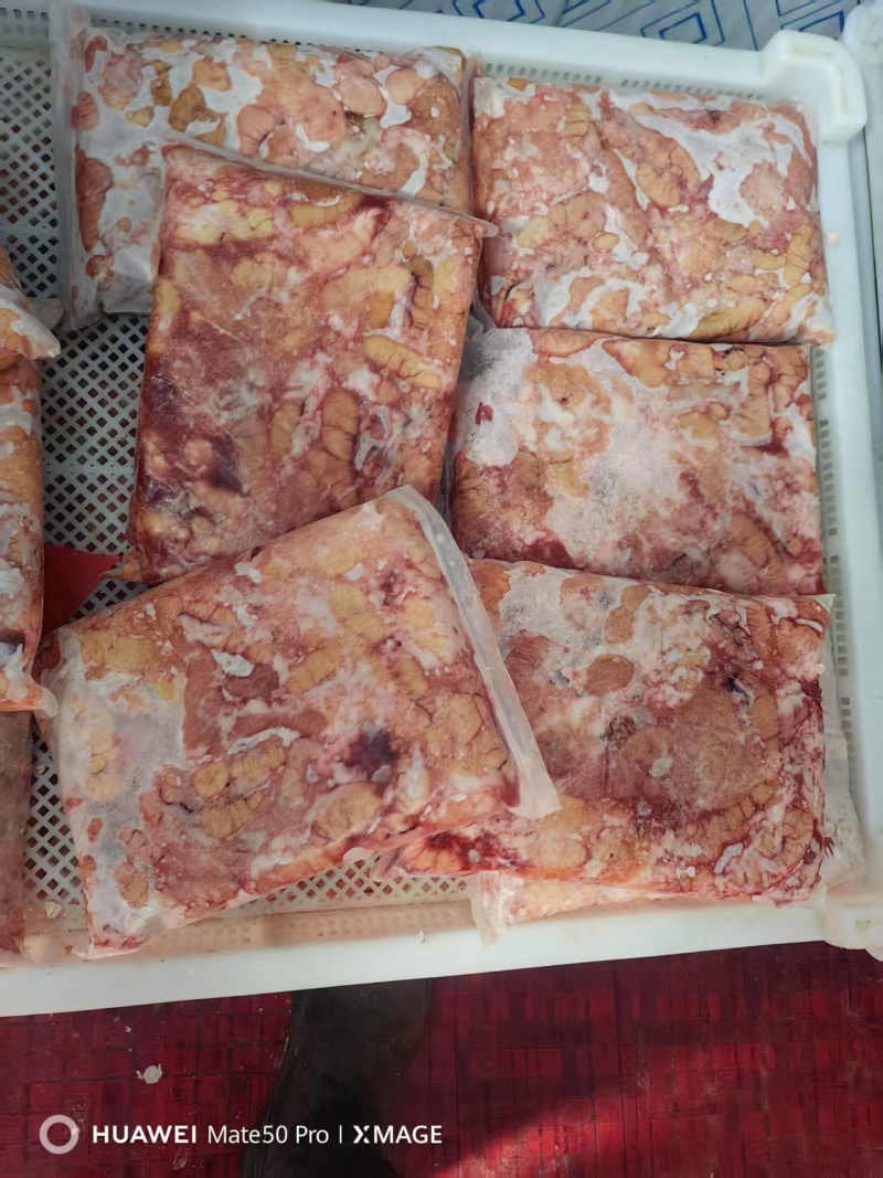 黑鱼子。一手货源产地直发，视频看货对接全国发货