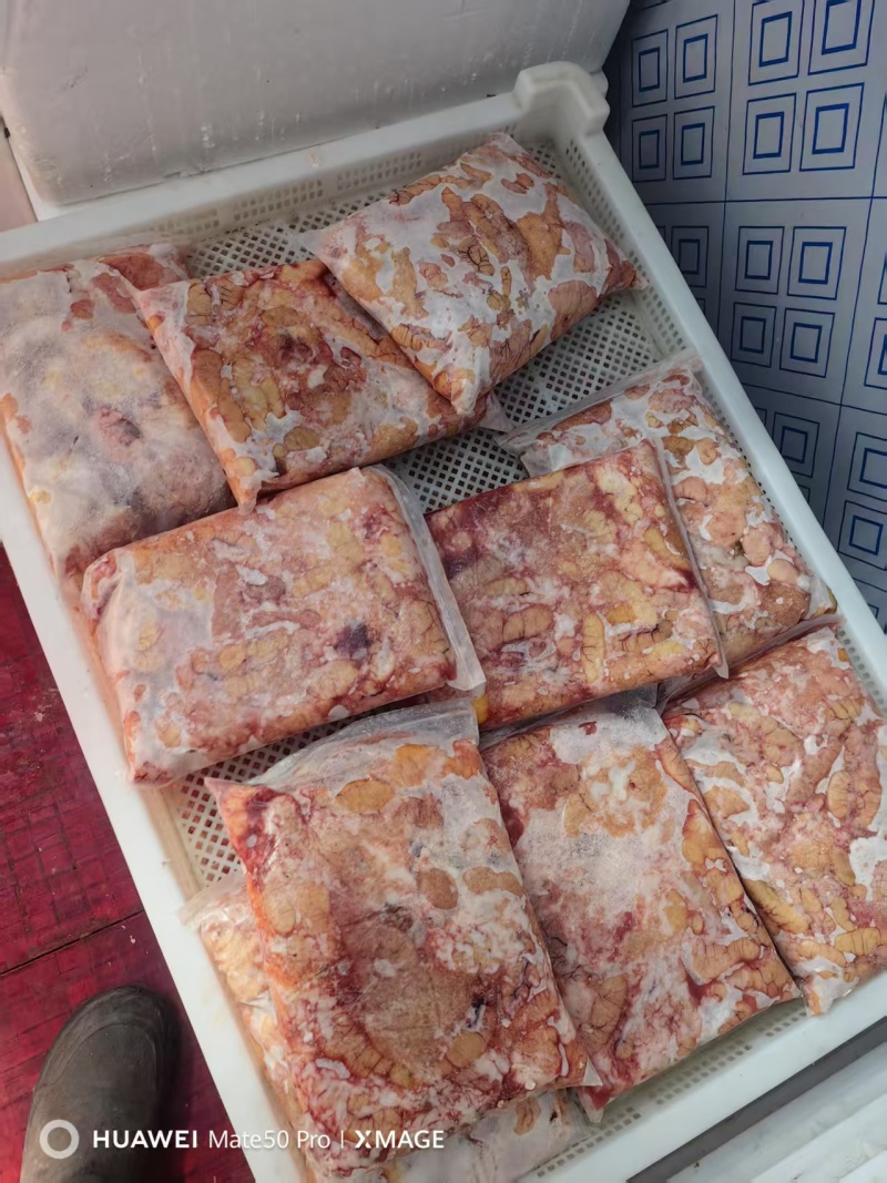 黑鱼子。一手货源产地直发，视频看货对接全国发货