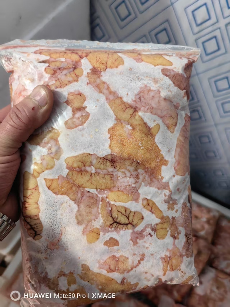 黑鱼子。一手货源产地直发，视频看货对接全国发货