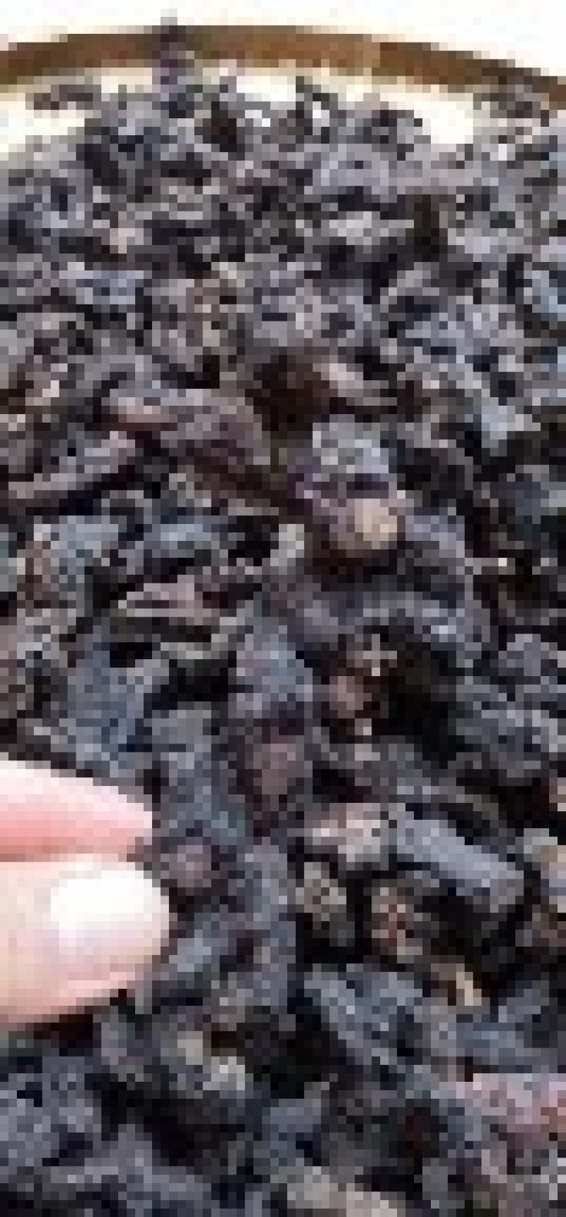 【推荐】九炼黄精量大从优全国包邮一件代发售后无忧