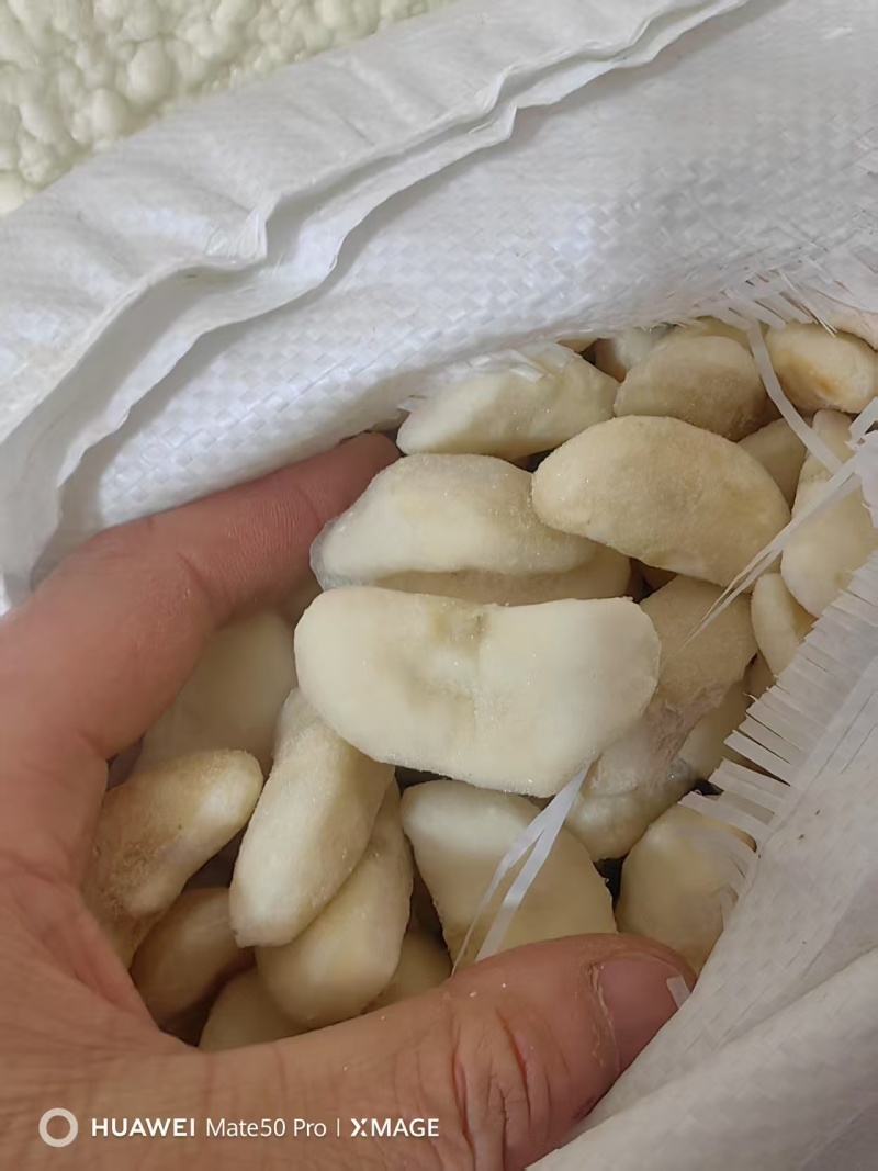 江苏大菱米，产地直发一手货源，视频看货全国发货