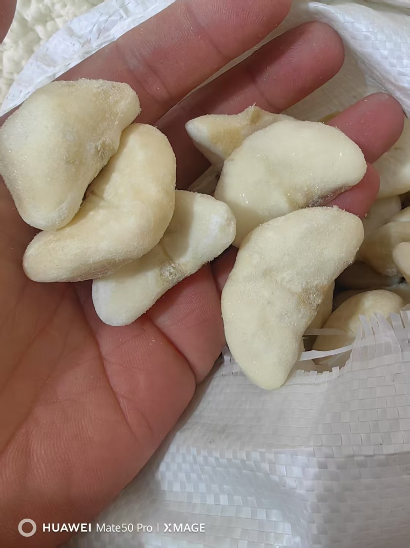 江苏大菱米，产地直发一手货源，视频看货全国发货