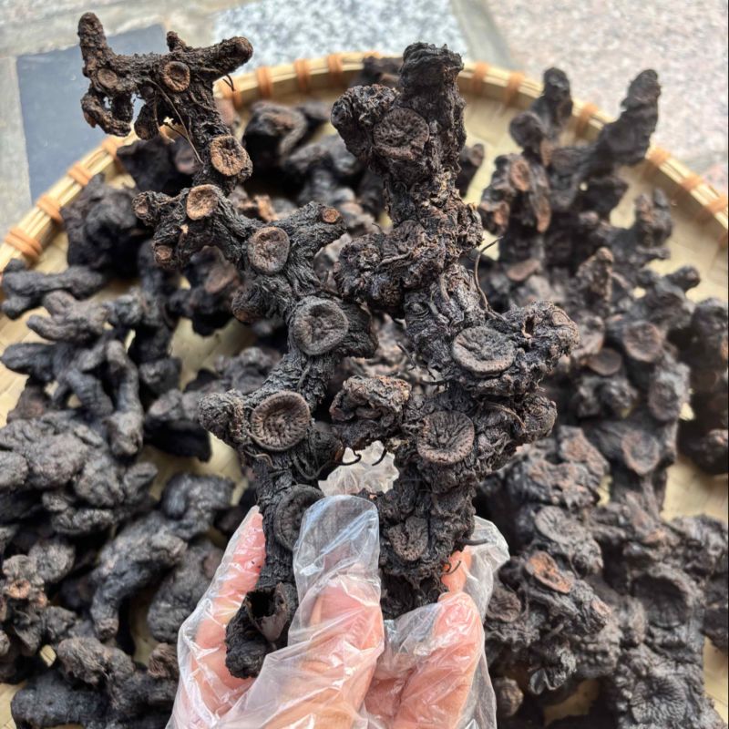 纯野生足干黄精农家纯手工制作九蒸九晒糯黄精鲜黄精