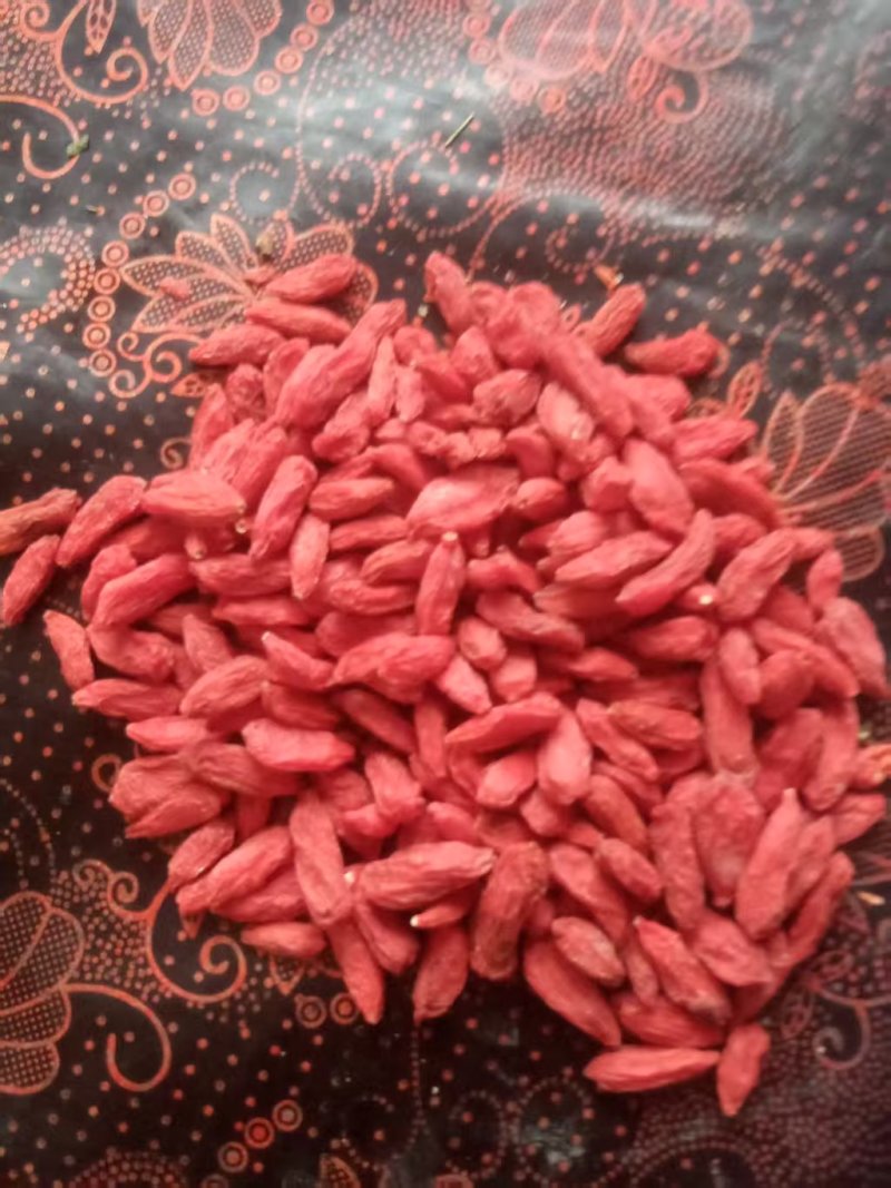 靖远宁夏枸杞量大从优，对接批发，电商，药厂