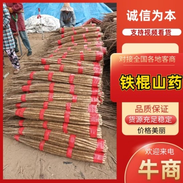 精选山药规格齐全又好又便宜产地直销对接全国欢迎
