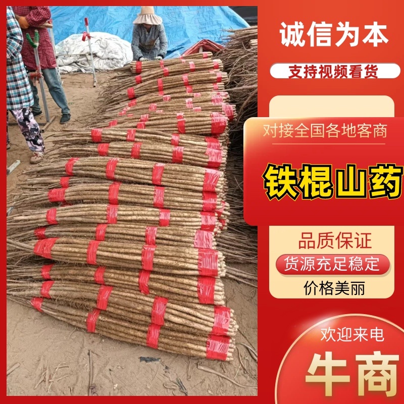 精选山药规格齐全又好又便宜产地直销对接全国欢迎