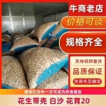 白沙双仁果，花育种子果，炒货果