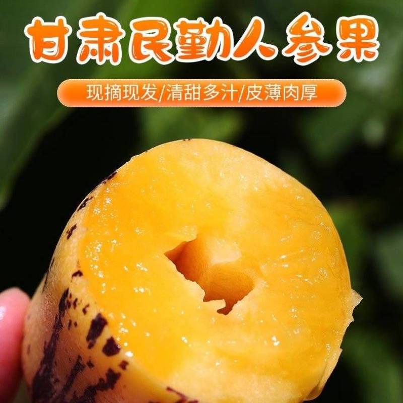 甘肃人参果一件代发，电商，团购市场整车