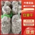 生地瓜干，红薯干，白地瓜干，，量大从优山东包送货到市场