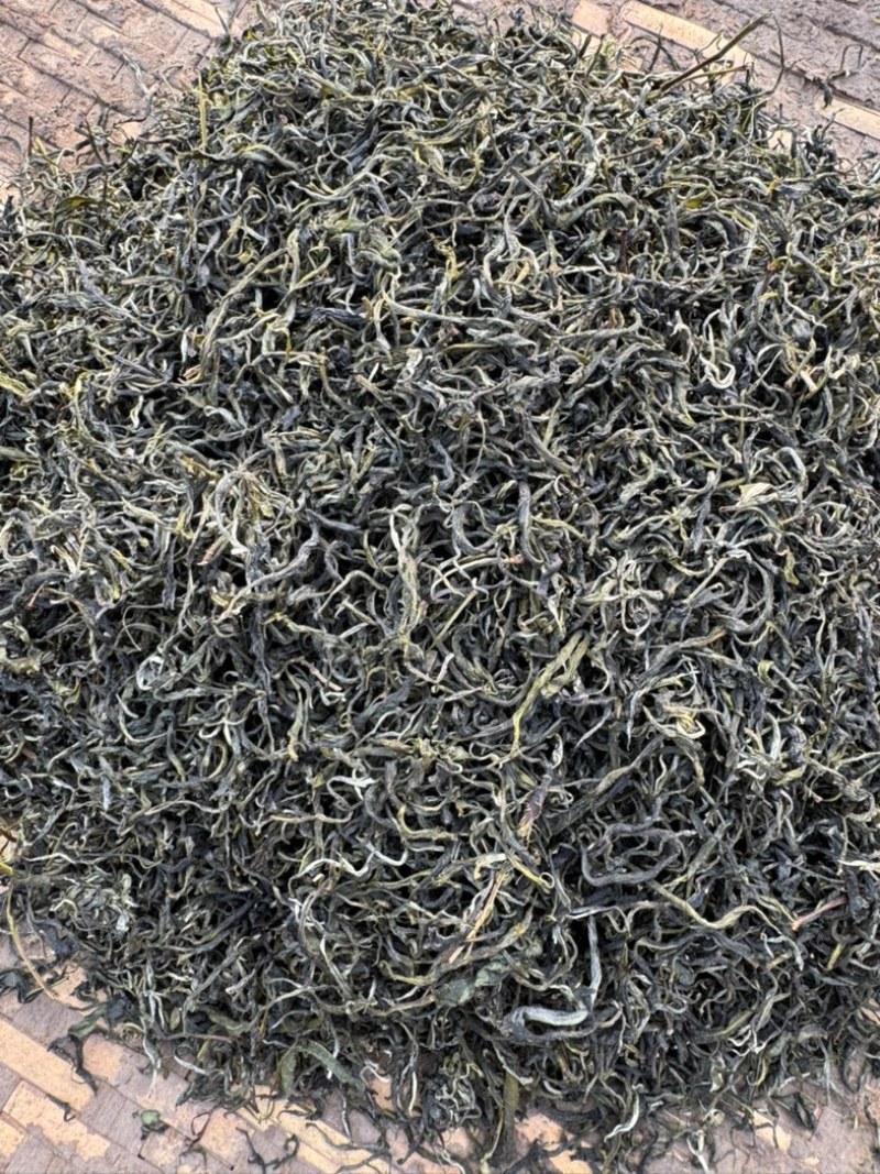 云南西双版纳.茶叶.干茶大量出货