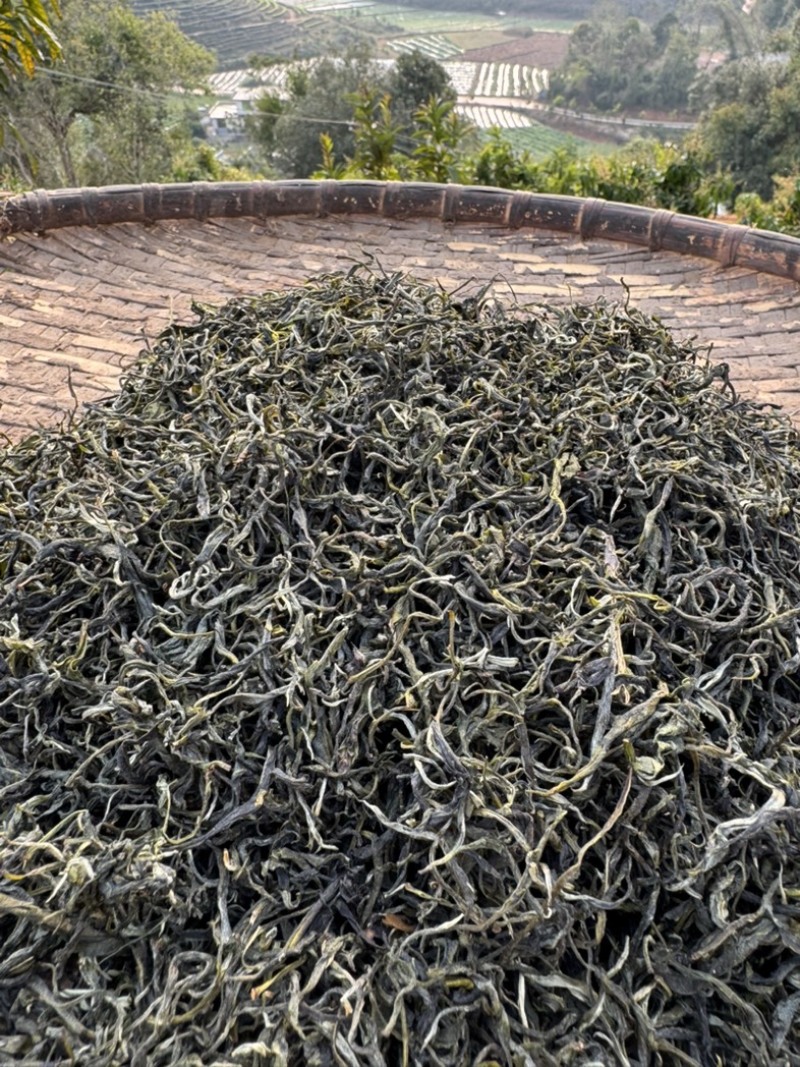 云南西双版纳.茶叶.干茶大量出货
