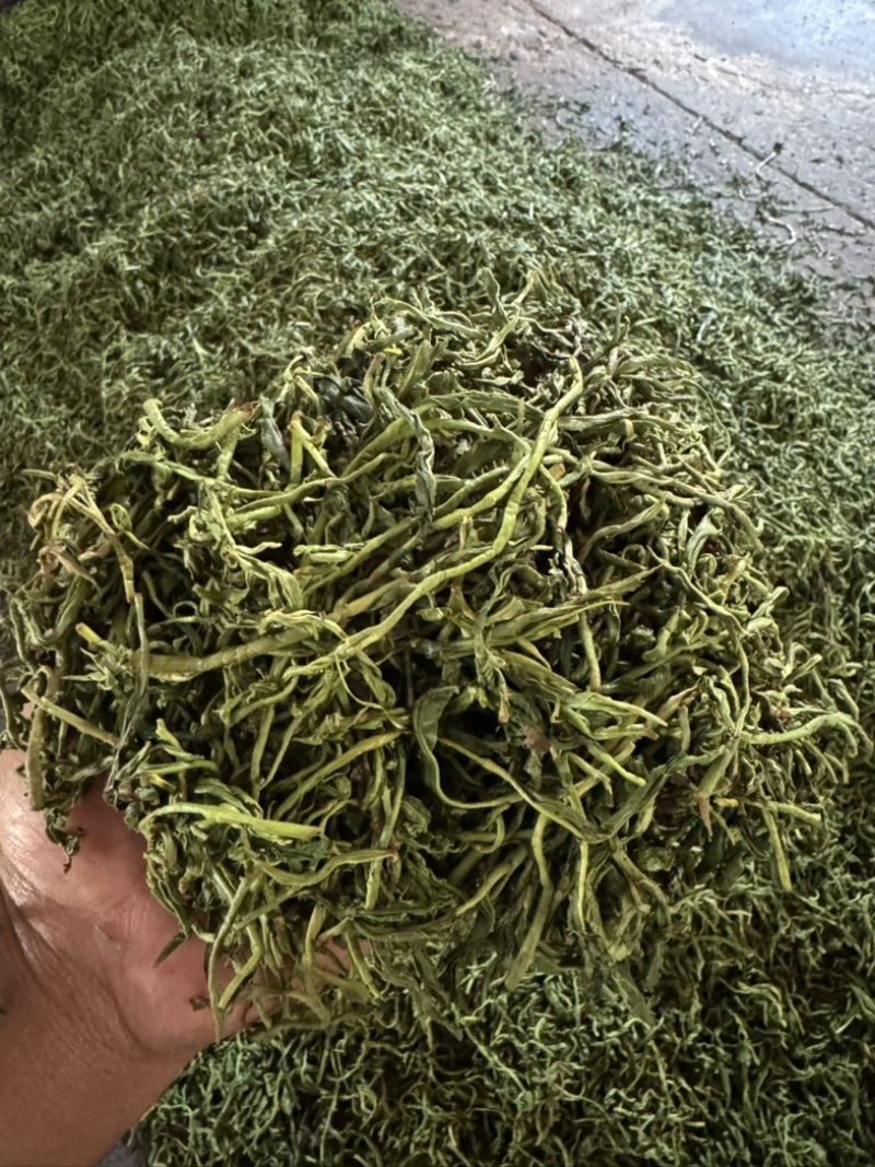 云南西双版纳.茶叶.干茶大量出货