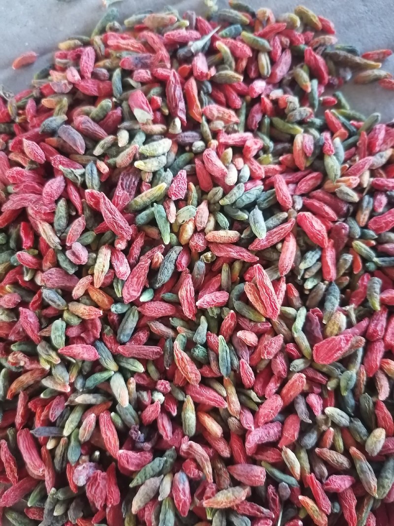 青红果大量现货，需要的老板联系我，大量现货。