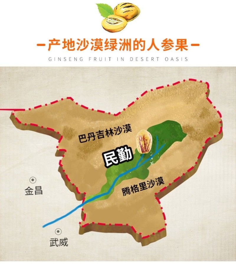 甘肃人参果一件代发，电商，团购市场整车