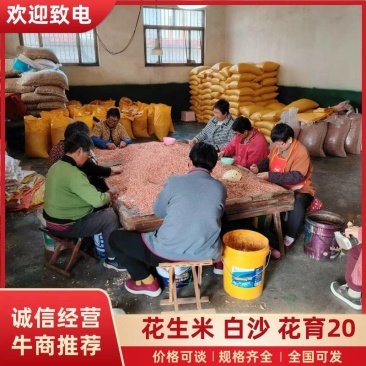 花生米，白沙花生米，诚信做生意品质您放心致电优惠