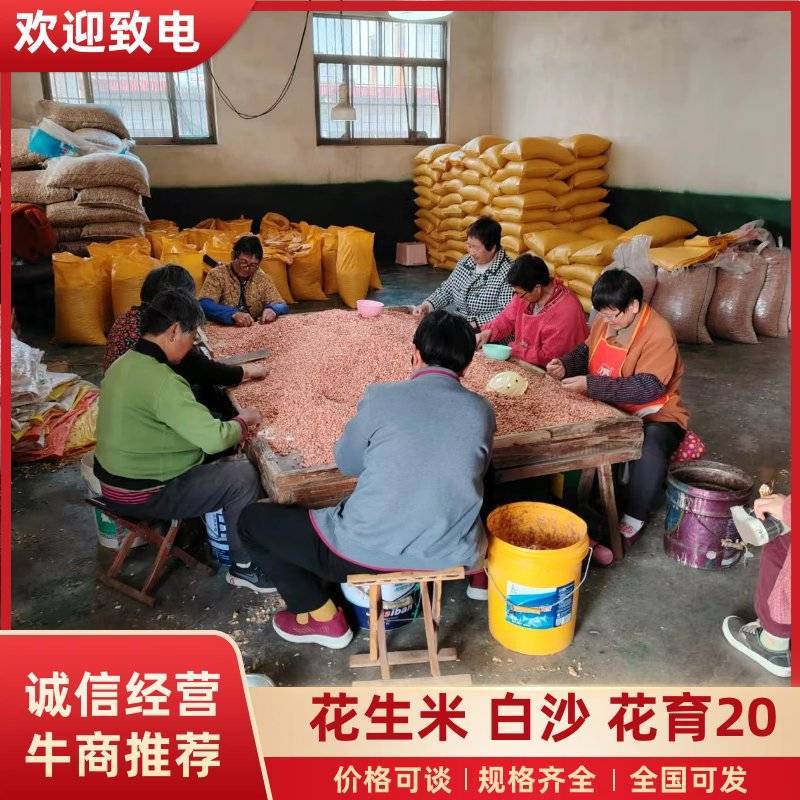 花生米，白沙花生米，诚信做生意品质您放心致电优惠
