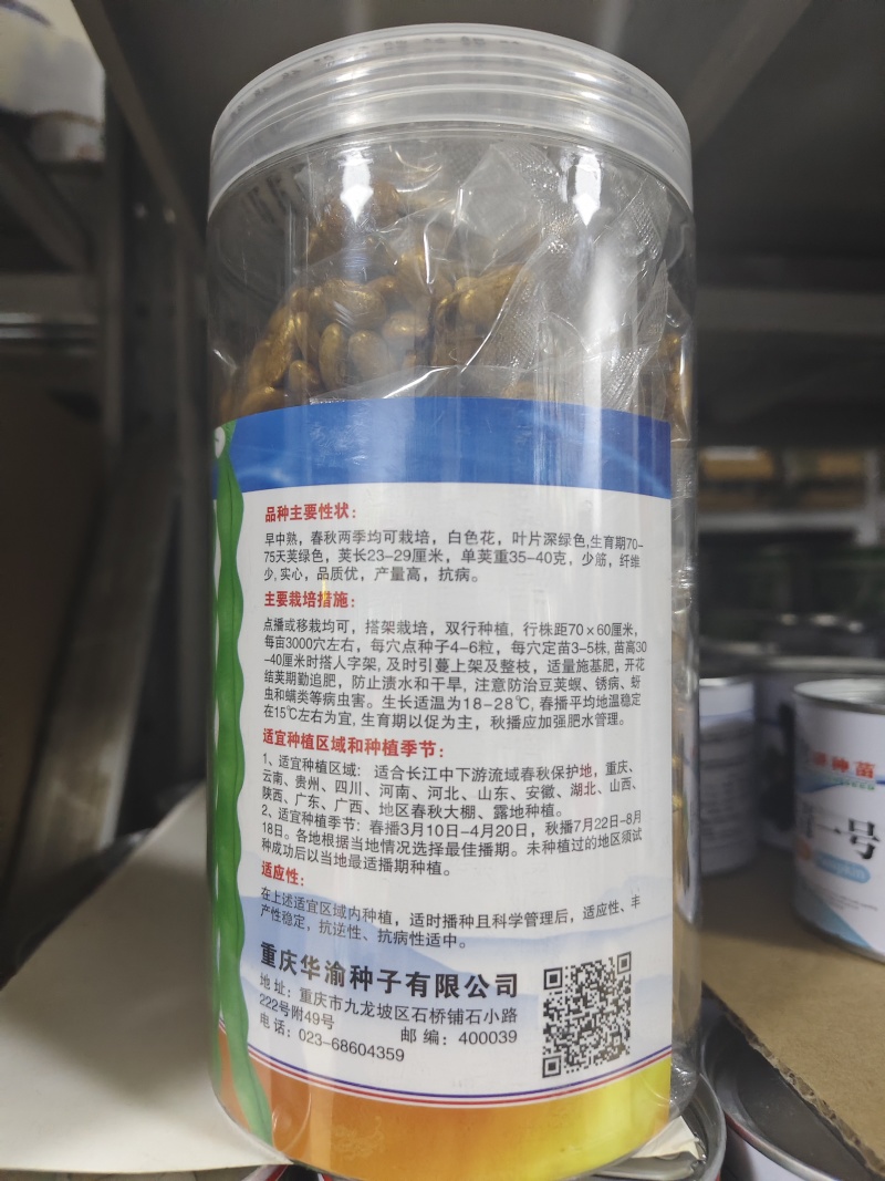 基地专用青大肉豆种子高产南方春秋架豆种子实心少筋肉鼓豆