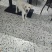 拉布拉多幼犬，个人原因没办法继续养，便宜出售