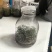 火焰南天竹组培苗定制