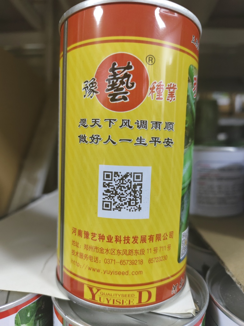 豫艺珍玉绿之秀西葫芦种子抗病毒油绿皮西葫芦瓜种子番瓜茭瓜