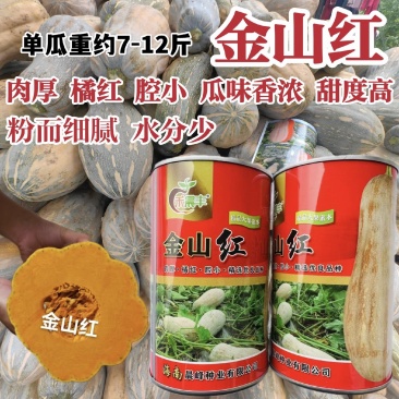 海南金山红大果蜜本南瓜种子橘红肉厚腔小甜度高粉糯精品南瓜