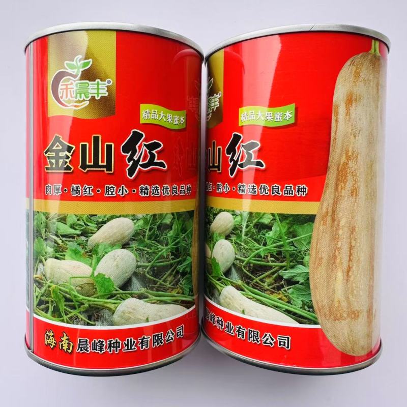 海南金山红大果蜜本南瓜种子橘红肉厚腔小甜度高粉糯精品南瓜