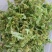 花菜干产地一手货源全国发货品质保证欢迎联系
