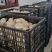 鲜鸭蛋精品双黄鸭蛋品质保证量大从优欢迎联系
