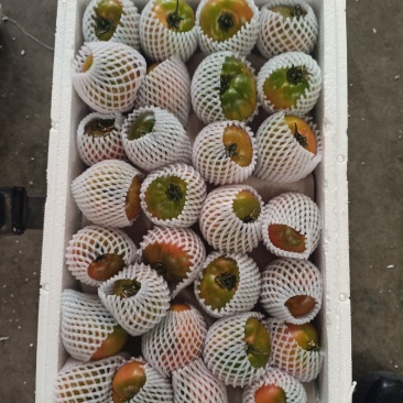 产地直采直发，一手货源，品质保证，售后无忧，欢迎咨询洽谈
