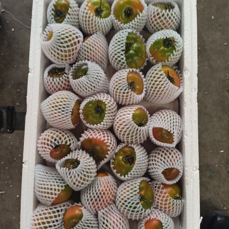 产地直采直发，一手货源，品质保证，售后无忧，欢迎咨询洽谈