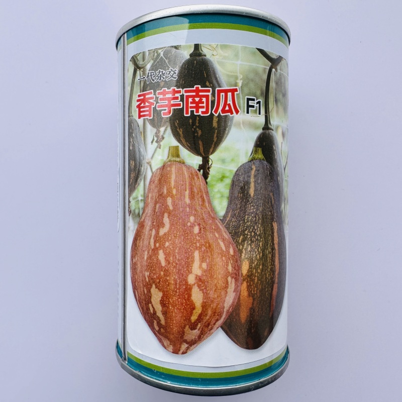 一代杂交香芋南瓜种子味甜肉厚有香芋味南瓜种籽软糯香甜春秋