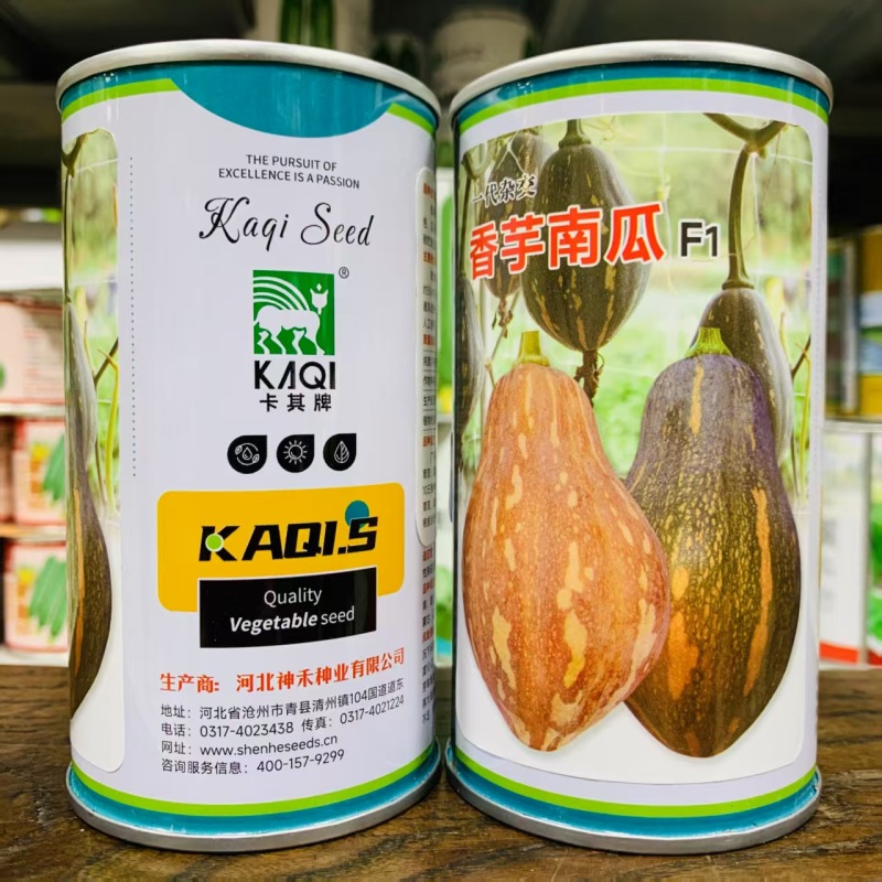 一代杂交香芋南瓜种子味甜肉厚有香芋味南瓜种籽软糯香甜春秋