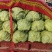 甘蓝，河南甘蓝供应中，代发全国，支持视频看货