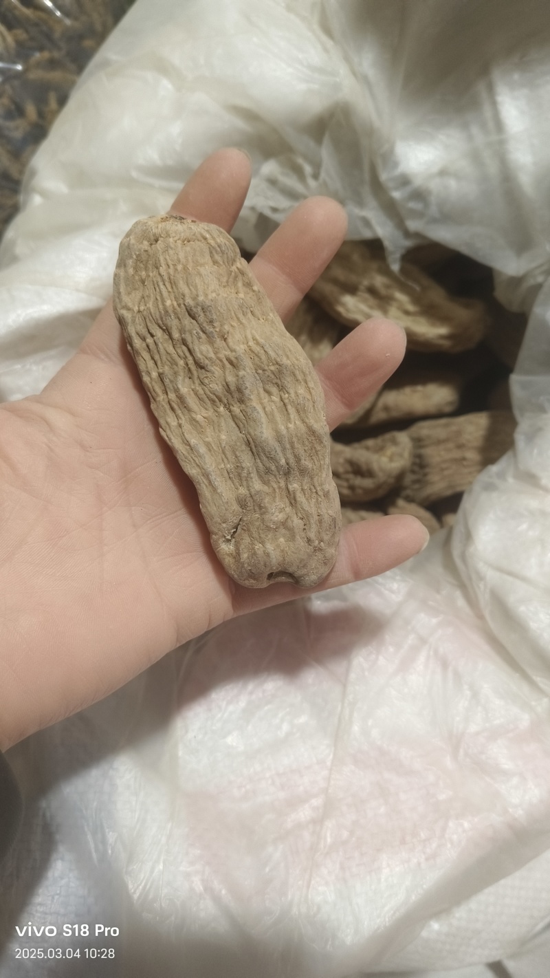 【天麻片】天麻个批发供应无硫天麻片物美价廉药食同源