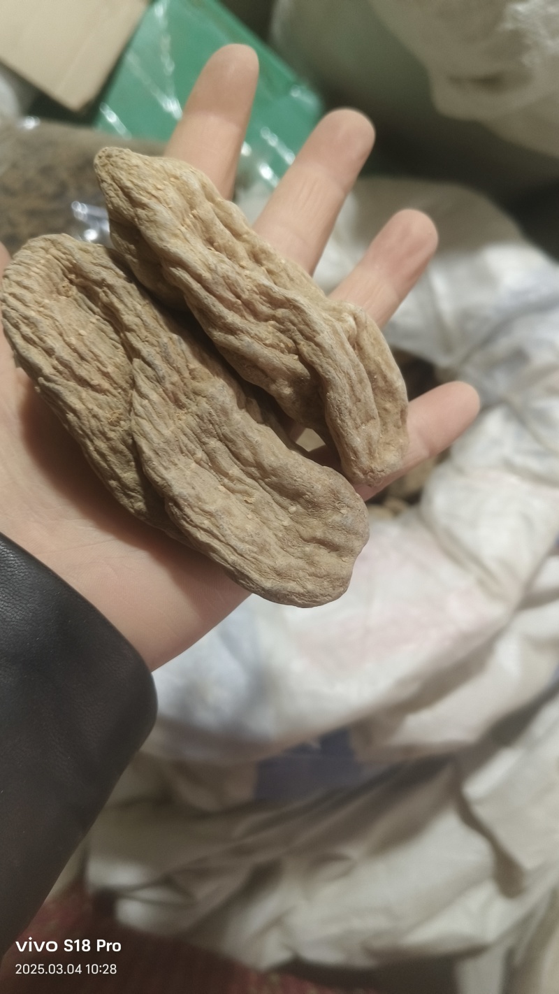 【天麻片】天麻个批发供应无硫天麻片物美价廉药食同源