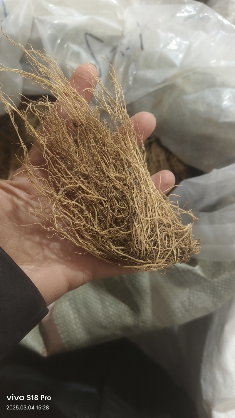 【细辛】辽细辛水洗无杂质实物拍摄质量保证量大从优