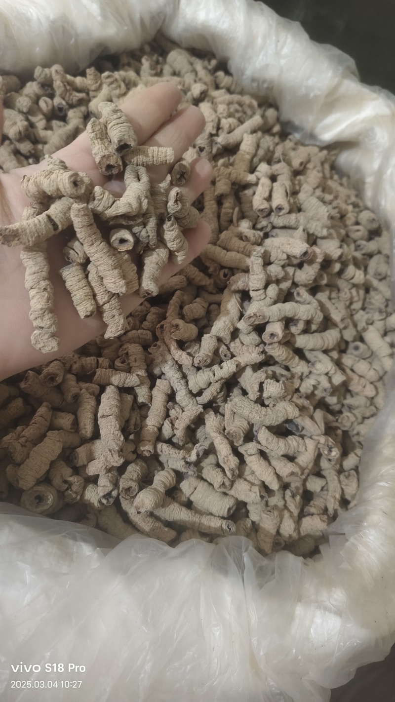 《巴戟肉》优质无硫全抽芯