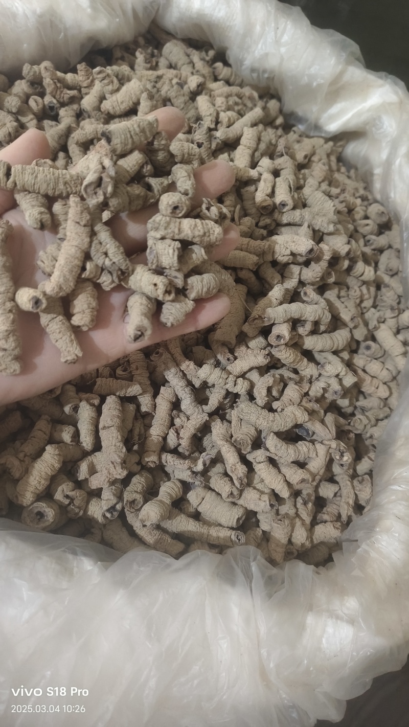 《巴戟肉》优质无硫全抽芯